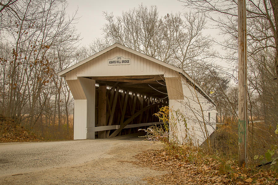 Adams Mill covered bridge Photograph by Jack R Perry