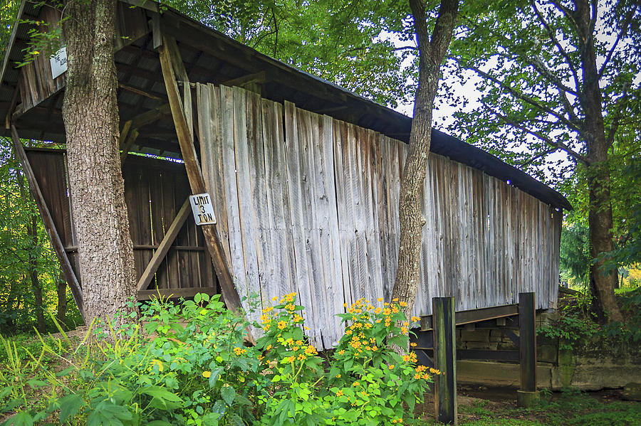 Adams/San Toy Covered Bridge  Photograph by Jack R Perry