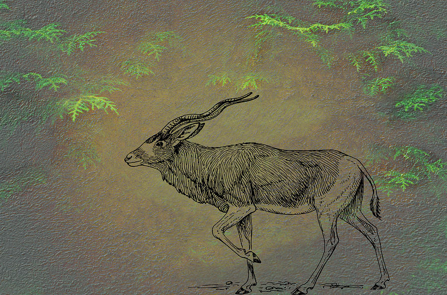 Addax Antelope Mixed Media by Movie Poster Prints