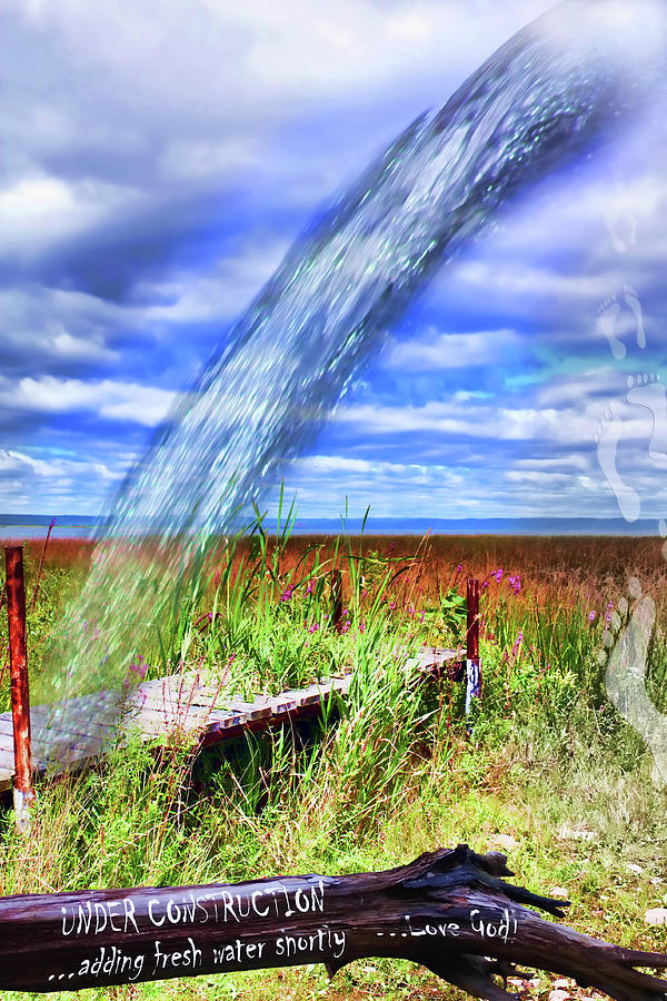 Adding Fresh Water Shortly Digital Art by Cathy Beharriell