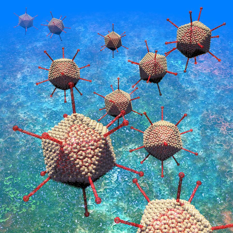 Adeno Digital Art - Adenovirus particles 3 by Russell Kightley