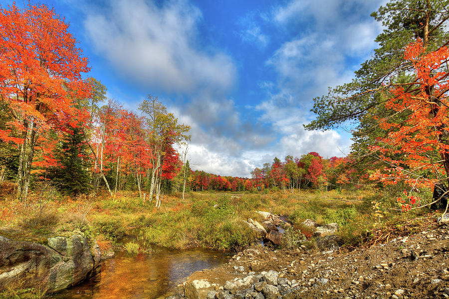Adirondack Autumn Photograph by David Patterson