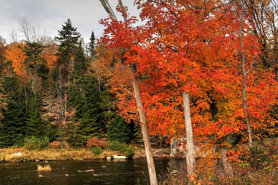 Fall Photograph - Adirondack Autumn by Heather Allen