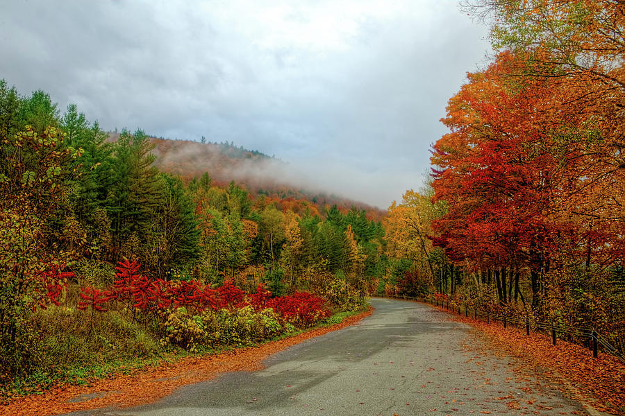 Adirondack Autumn Road Photograph