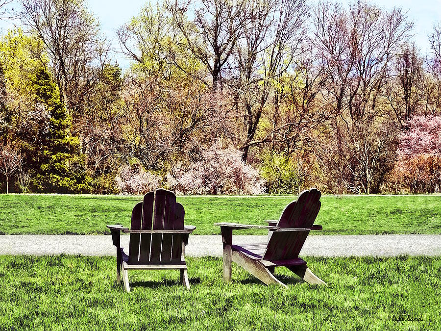 Adirondack Chairs in Spring Photograph by Susan Savad