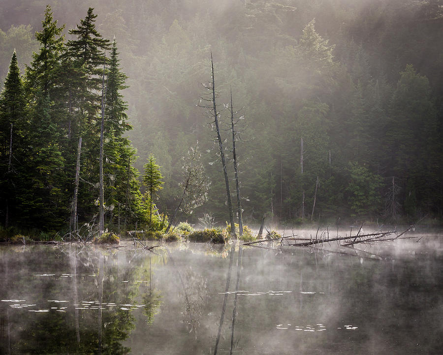 Adirondack Dream Photograph by Gary Migues