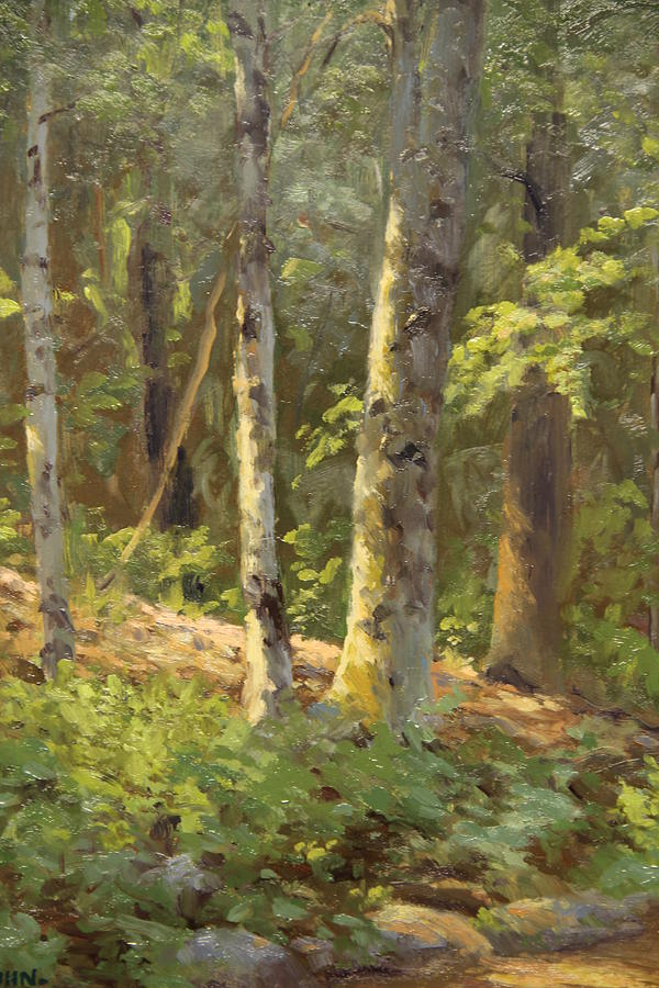 Adirondack Inner Woods Painting by Marianne Kuhn - Fine Art America