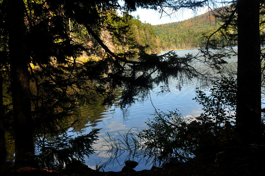 Adirondack Lake Photograph by Diane Lent
