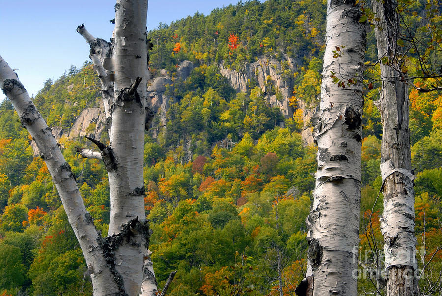 Fall Photograph - Adirondack Mountains New York by David Lee Thompson