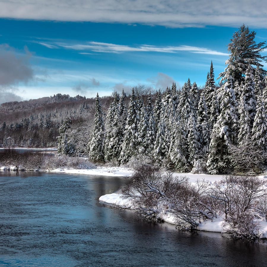 Adirondack Snowfall Photograph by David Patterson