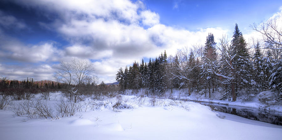 Adirondack Snowscape Photograph by David Patterson