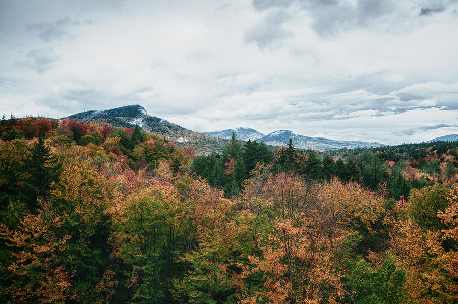 Adirondack View Photograph by David Waldrop