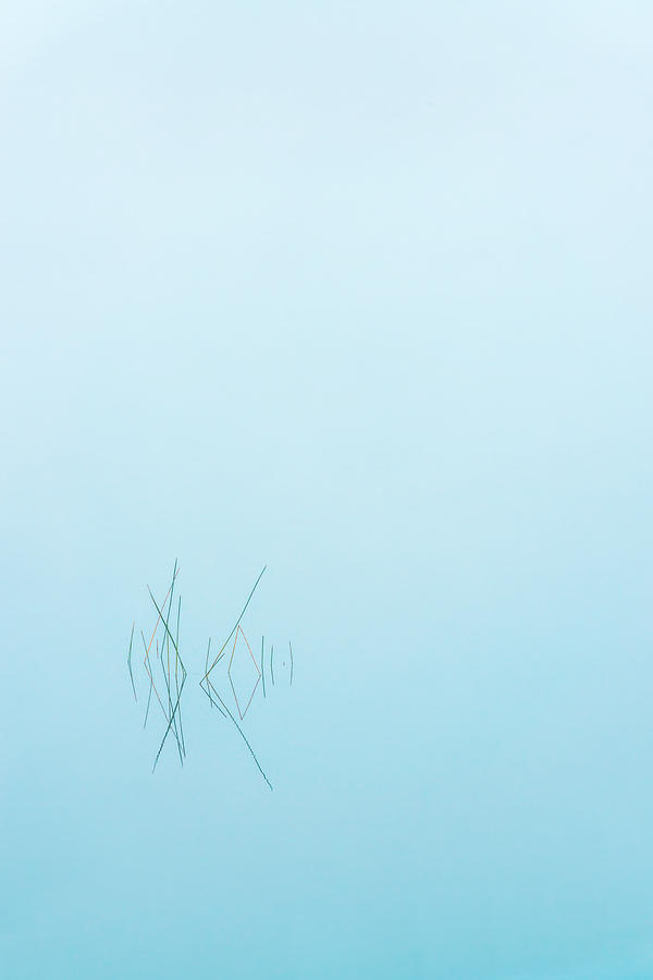 Adirondack Zen - Tall Photograph by Steven Maxx