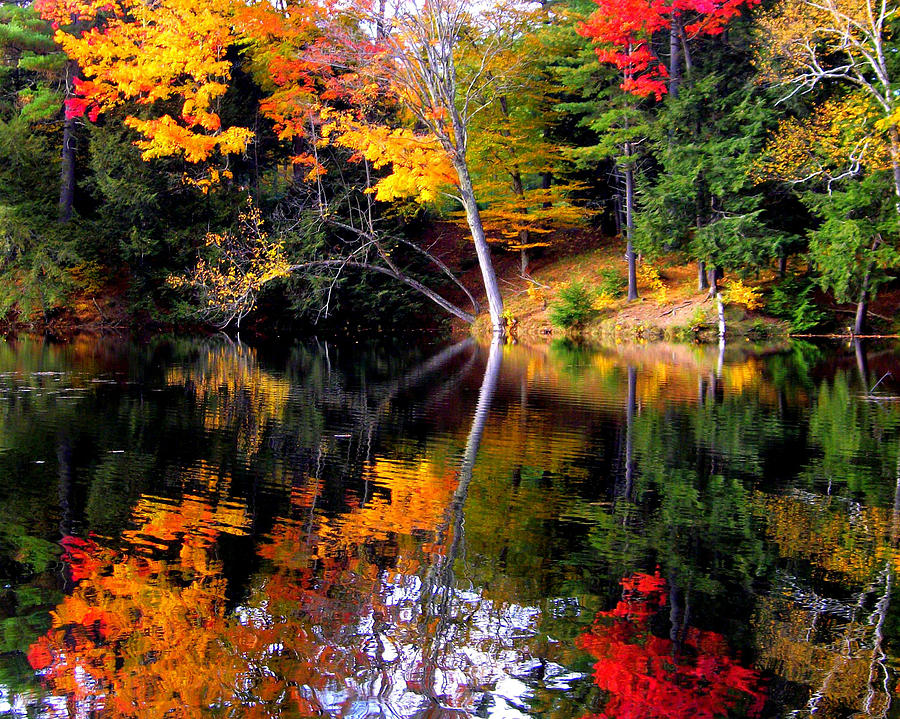 ADK Reflections Photograph by Jennifer St Pierre - Fine Art America