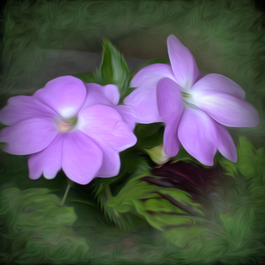 Admidst the Greenery by Renette Coachman Admidst the Greenery by Renette Coachman