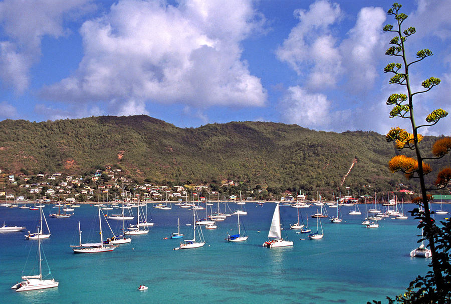 Admiralty Bay Photograph by Thomas R Fletcher