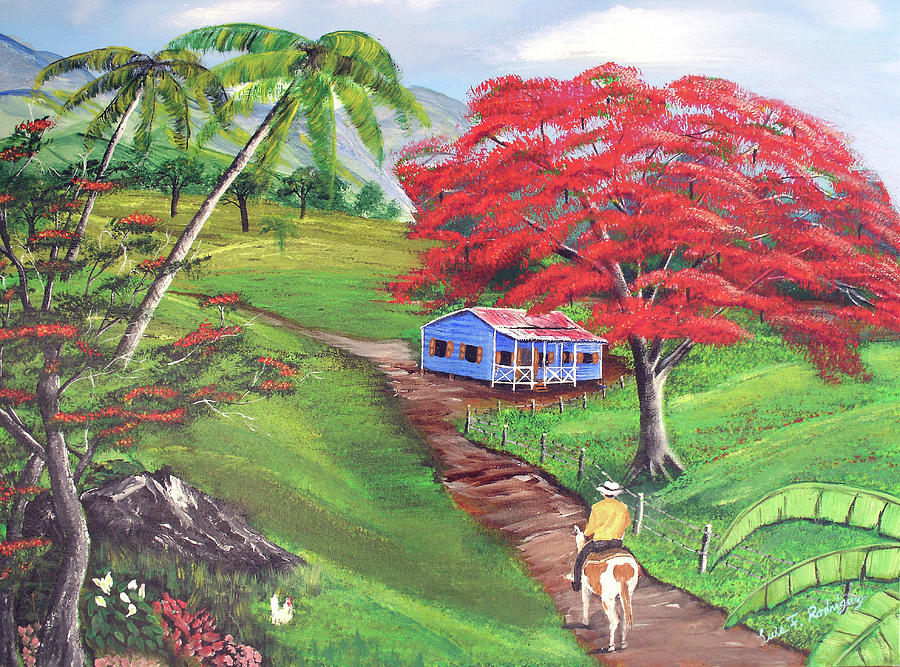 Poinciana Tree Painting - Admirando El Campo by Luis F Rodriguez