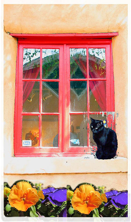 Adobe Window with Mojo Photograph by Feather Redfox Adobe Window with Mojo Photograph by Feather Redfox