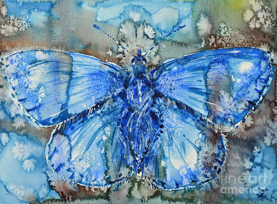 Butterfly Painting - Adonis Blue by Zaira Dzhaubaeva