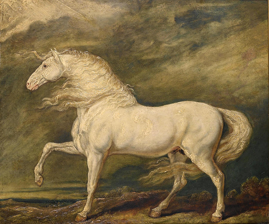 Adonis the favourite charger of King George III Painting by James Ward