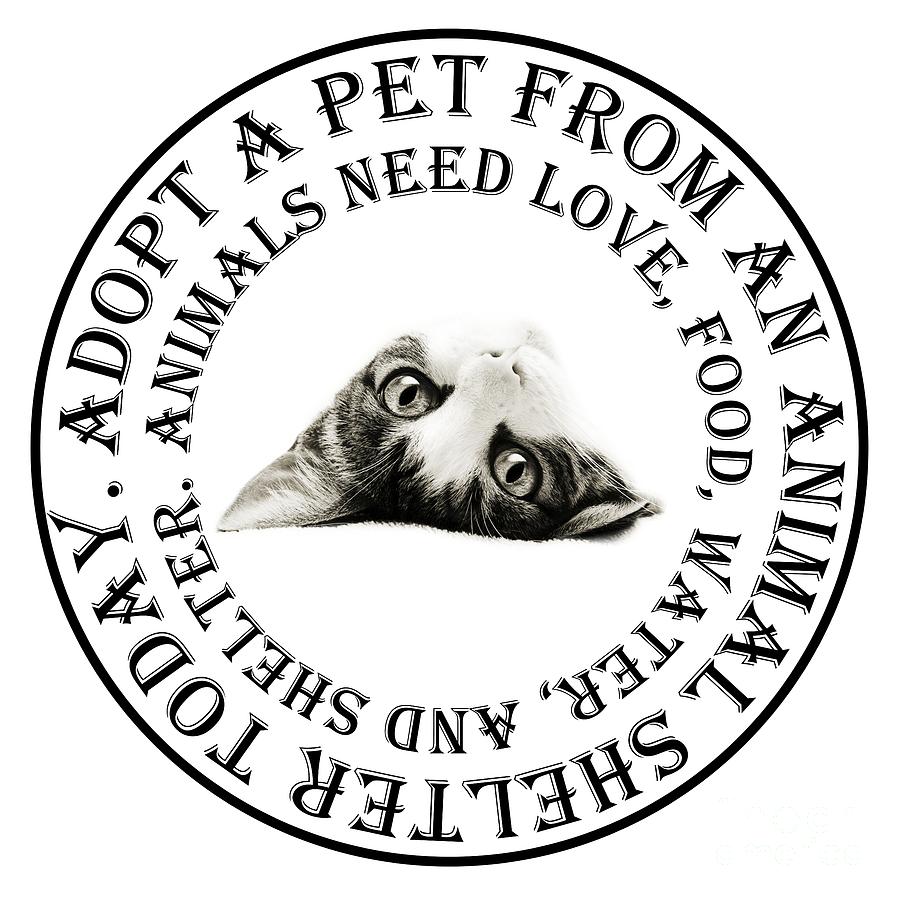 Adopt A Pet T-Shirt Design Photograph by Andee Design