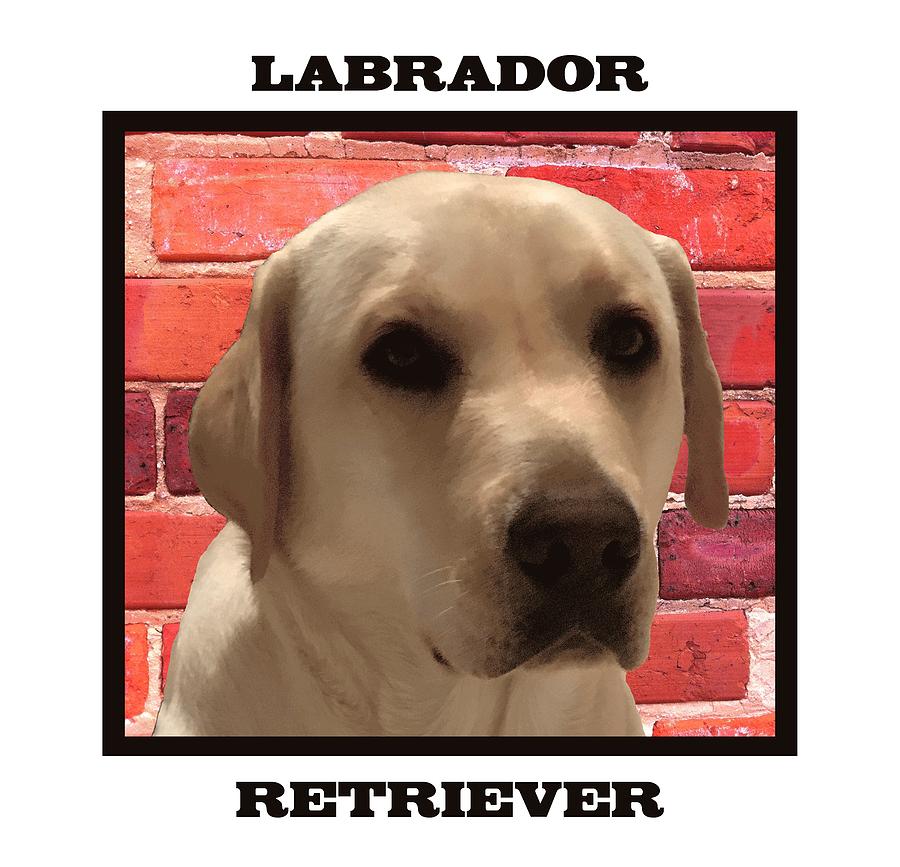 Adorable face of a yellow Labrador  Digital Art by Inge Lewis