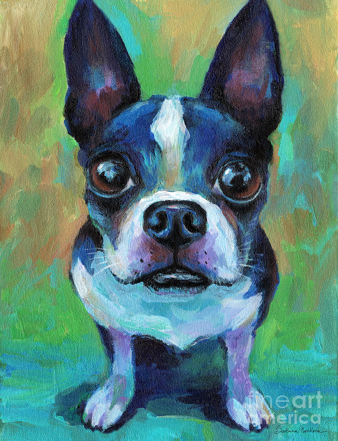 Adorable Boston Terrier Dog Painting by Svetlana Novikova