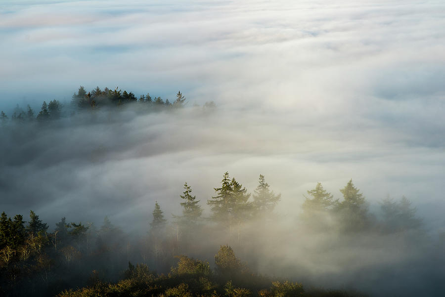 Adrift in Fog Photograph by Robert Potts