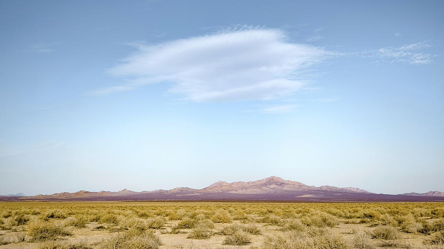 Adrift in the Mojave Photograph by Alexander Kunz