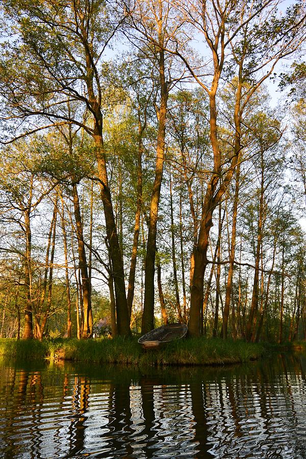 Nature Preserve Photograph - Adrift On Shore by Two Small Potatoes Nature Preserve Photograph - Adrift On Shore by Two Small Potatoes