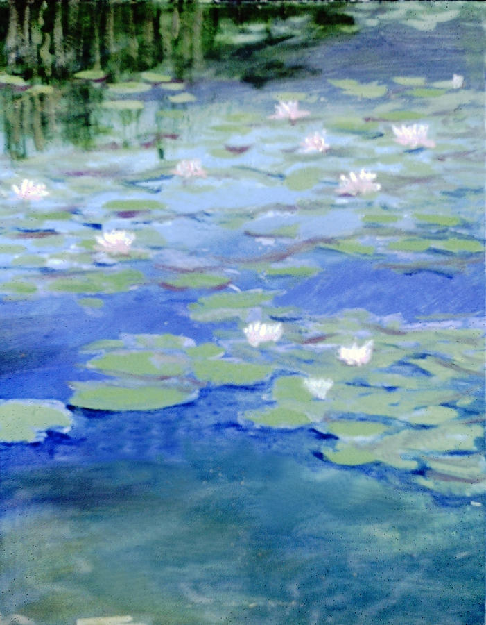 Adrift on the Pond Painting by David Zimmerman