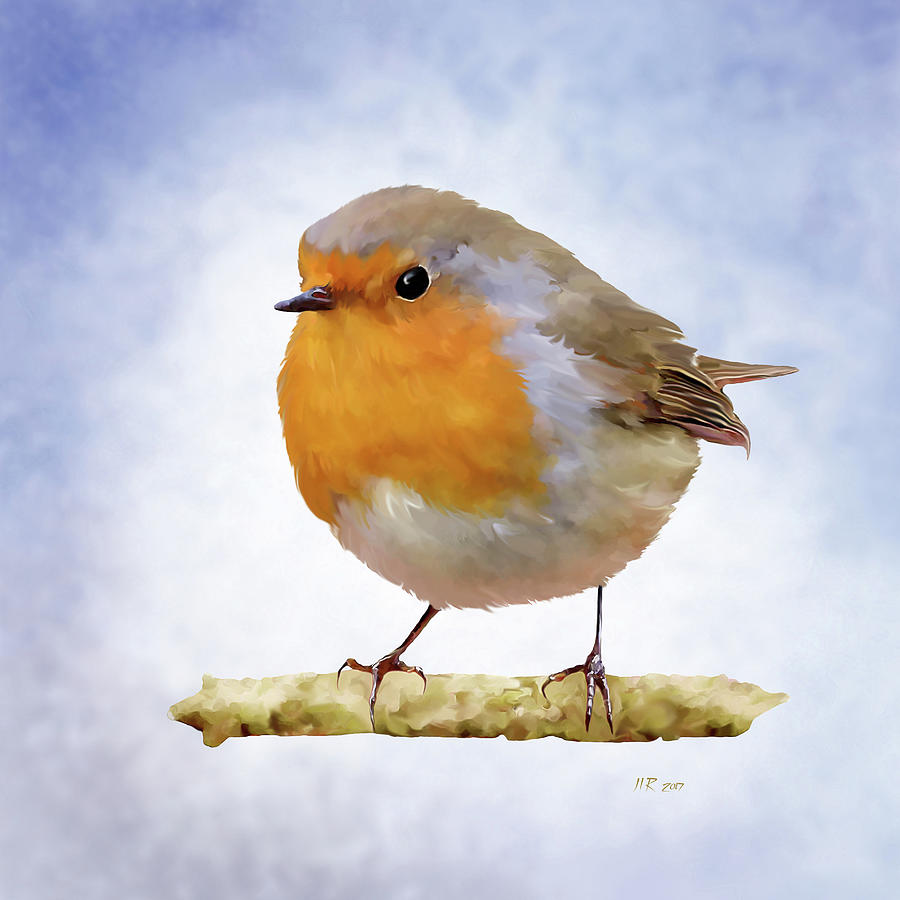 Adult Red Robin Painting by Bamalam Art Fine Art America