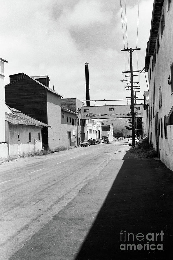 Sardine Photograph - Aenas Sardine Packing Co, Cannery Row Circa 1970 by Monterey County Historical Society