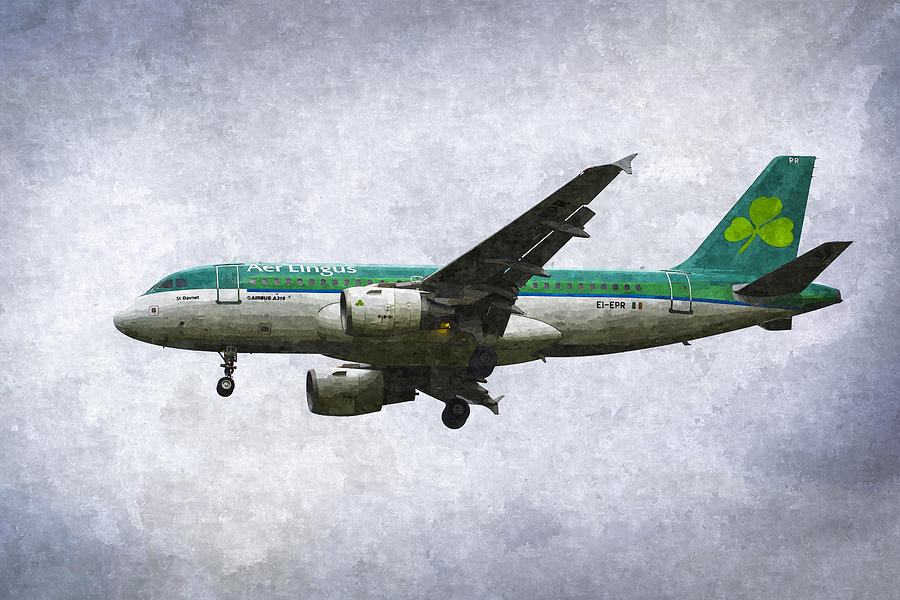 Aer Lingus Airbus A319 Art Photograph by David Pyatt