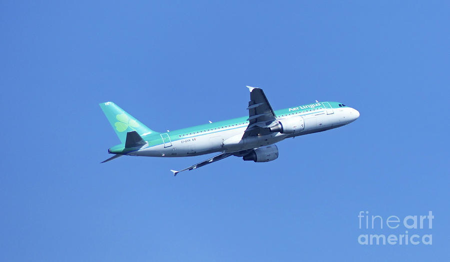 Aer Lingus - Airbus A320 Photograph by Phil Banks