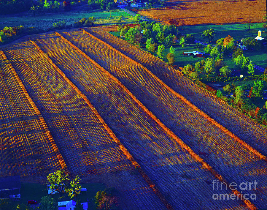 Aerial Farm field harvested at sunset Photograph by Tom Jelen