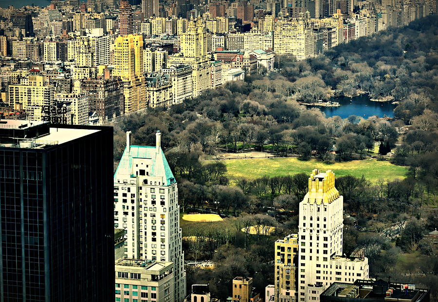 Aerial View Central Park Photograph by Diana Angstadt