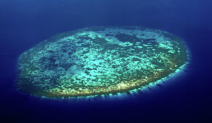 Aerial View of Rounded Coral Reef. Maldives Photograph by Jenny Rainbow