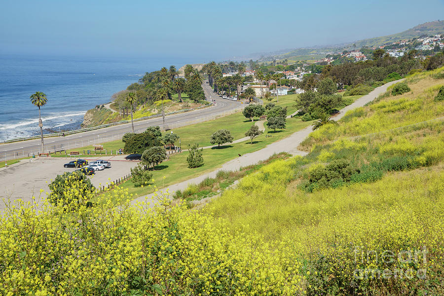 Aerial view of wildflowers blossom and ocean Photograph by Chon Kit ...