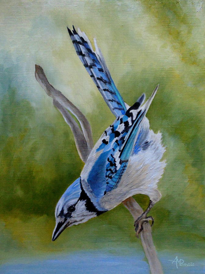Aerialist Blue Jay Painting by Angeles M Pomata