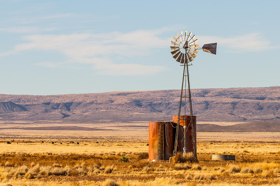Aermotor Windmill Photograph by SR Green