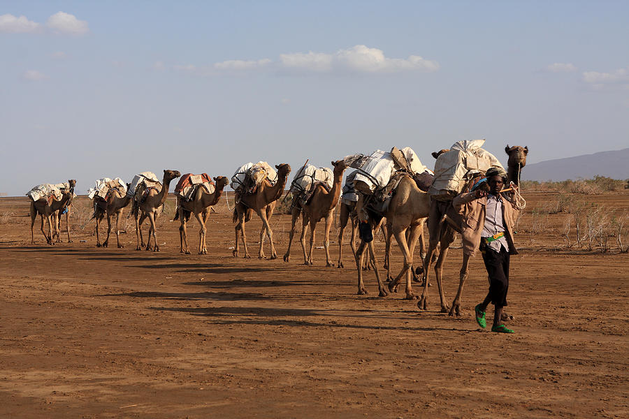 Afar People Of Ethiopia Photograph by Aidan Moran