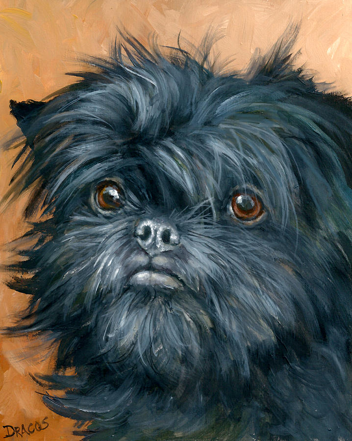 Dog Painting - Affenpinscher Portrait by Dottie Dracos