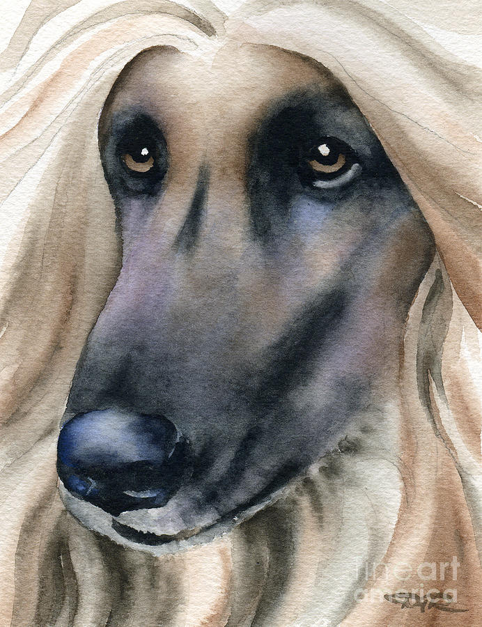 Portrait Painting - Afghan Hound by David Rogers