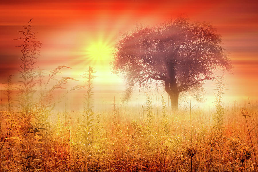Aflame Dreamscape Photograph by Debra and Dave Vanderlaan