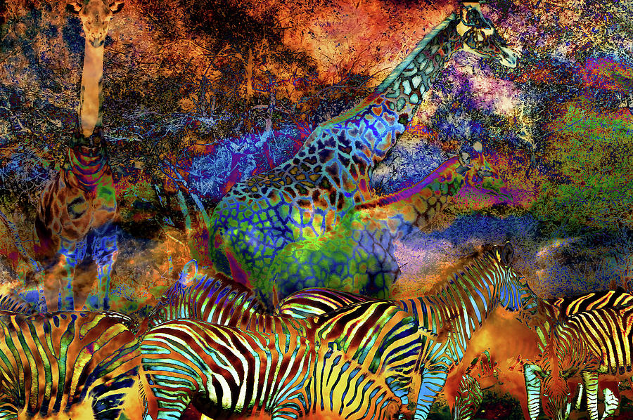 Zebra Digital Art - Africa in Colors by William Bader