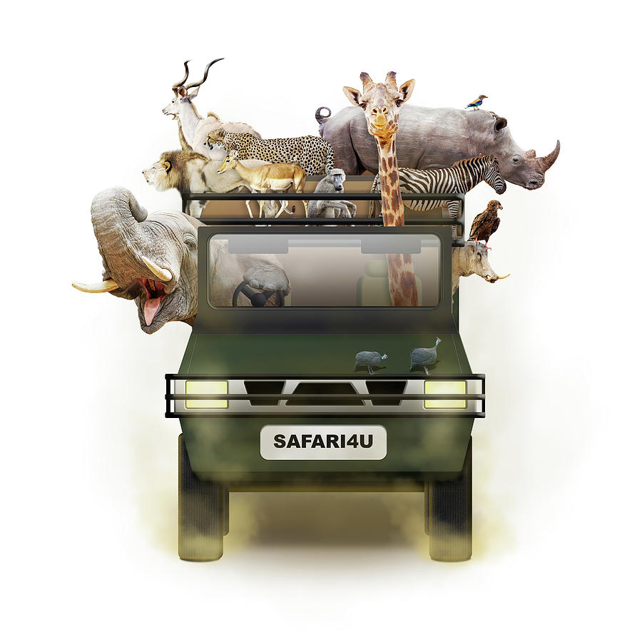 African Animals in Safari Tour Vehicle Photograph by Good Focused