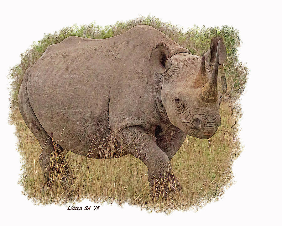 African Black Rhinoceros Digital Art by Larry Linton