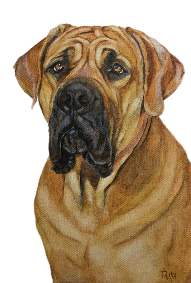 African Boerboel Painting by Tanja Kooymans