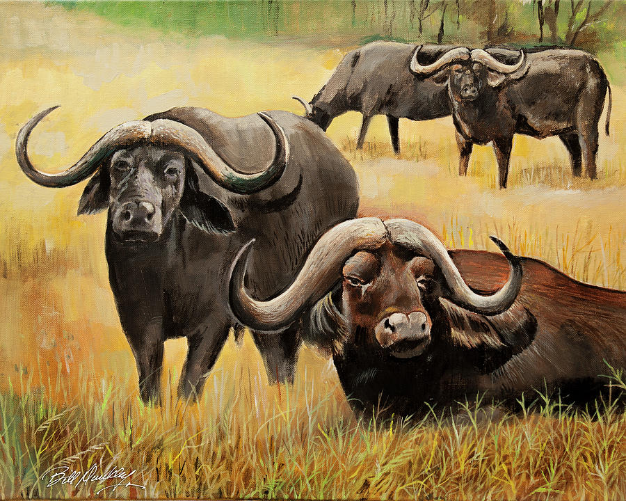 African Buffalo Painting by Bill Dunkley